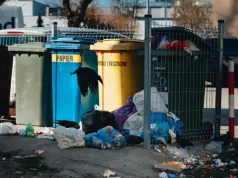 Od 1 listopada opłaty idą w górę. Rodziny zapłacą o 702 zł więcej