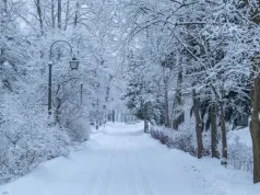 Pierwsze śnieżyce możliwe już na początku listopada. Ściśnie też mróz