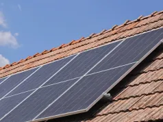 Fotowoltaika z obierków po warzywach i owocach. Powstaje PV z odpadów roślinnych