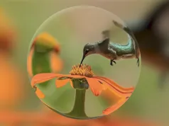 Google Genie 4 tworzy realistyczne światy. AI dodaje dźwięk, ludzi i fizykę