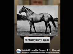 Kolejny koń będzie miał swoją ulicę w Warszawie. Śp. Lech Kaczyński nadal nieuhonorowany w stolicy
