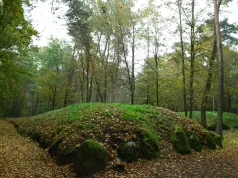 Kopce kujawskie wśród lasów czy pól? Palinologia i archeologia w Sobocie