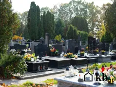 Cmentarne cenniki pod lupą. Za niektóre usługi samorządy mogły pobierać opłaty bez podstawy prawnej