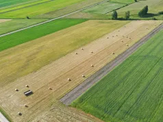 Państwowa ziemia do wydzierżawienia. Kto może dostać grunty z KOWR i na jakich zasadach?