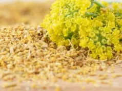 Nie rozmaryn i nie oregano. Ten włoski "pyłek" podkręca smak każdej pieczeni