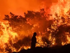 1,4 tys. zgonów dziennie przez upał. Tak zabija zmiana klimatu
