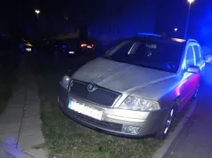 Tarnowskie Góry: Pijana 73-latka uderzyła w słup. Dostała 6 tys. zł mandatu