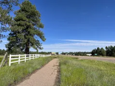 Arizona: Hobbs bez stanu wyjątkowego po tornadzie w Navajo
