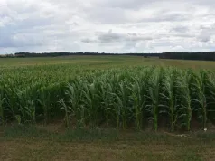 Z cudzego pola zrobili sobie plac zabaw. Rolnikowi zostawili rachunek na 3 tys. zł