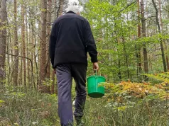 To nie koniec sezonu na grzyby. Te gatunki znajdziesz w lesie w listopadzie