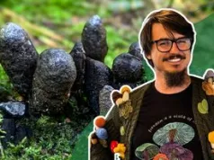 Grzyb jak palce umarlaka. Ekspert z Fungarium ostrzega przed próbowaniem