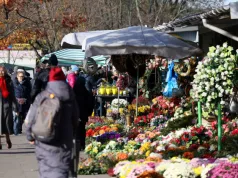 Nawet 500 zł mandatu za stroik na Wszystkich Świętych. Trwają kontrole leśników