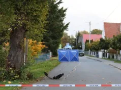 Najechał na leżącego człowieka. Myślał, że potrącił zwierzę