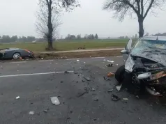 Jeleń wbiegł na drogę. Chwilę później doszło do czołowego zderzenia dwóch samochodów. Dwie osoby trafiły do szpitala