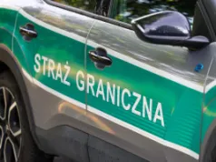Grzybiarze z Rumunii zbierają grzyby na masową skalę. Stanowcza reakcja służb