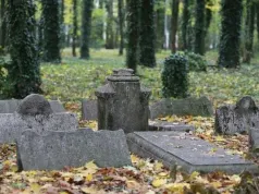 Poznaj najbardziej mroczny park w mieście. Ciemno, zimno i strasznie. Bluszcz i groby ZDJĘCIA