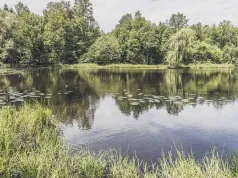 Potrzebujesz ciszy i spokoju na łonie natury? Odwiedź staw Janina na katowickim Giszowcu