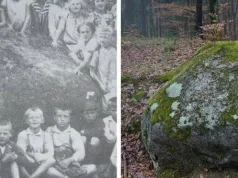 Historia z Pomorza, której nie znacie. Tajemnicze ślady na kamieniu