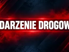 Audi uderzyło w drzewo na DW385 Służejów–Ziębice. Samochodem podróżowały dwie osoby