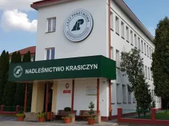 Nawet 20 tys. zł miesięcznie. Lasy Państwowe szukają pracownika na Podkarpaciu