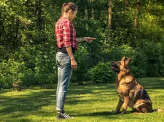 Mówimy do psa, a on naprawdę słucha. Ważny jest szczegół w mowie