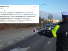 Surowsze kary dla kierowców? PiS z nową propozycją, podano szczegóły