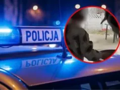 Nagrywała, jak córka znęca się nad kotem. Jest prawomocny wyrok
