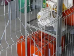 Rolnik trzyma opryski w starej lodówce? Przepisy dopuszczają takie rozwiązanie