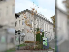 Zastąpił kultowe drzewo przy Teatrze Jaracza. W Olsztynie posadzono nowego kasztanowca