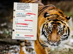 Afera ws. zoo w Łącznej. Przyszła pora na rozliczenia? Są zawiadomienia ws. prokuratorów