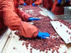 Upadły zakład przetwórczy idzie pod młotek. Cena spadła o 5 mln zł