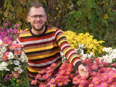 Boskie chryzantemy. Gatunki i odmiany do polskich ogrodów