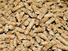 Pellet do Polski płynie zza Atlantyku. "Coś wyraźnie stanęło na głowie"