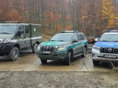 Turysta natrafił w Bieszczadach na niebezpieczne znalezisko. Na miejscu pracowali saperzy