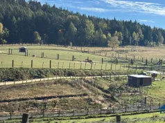 ZOO Łączna zbiórka – gdzie wpłacić? O co chodzi ze sprawą zoo i DIOZ?