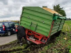 Pamiętacie tę przyczepę zakopaną w błocie? Tak wyglądały grząskie żniwa kukurydzy w 2017 roku