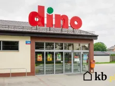 Dino mocno tnie ceny przed listopadem. Popularna kawa tańsza o ponad jedną trzecią