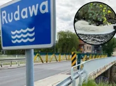 Mieszkańcy zaniepokojeni sytuacją nad Rudawą. Miasto odpowiada na doniesienia o gigantycznej pianie na wodzie