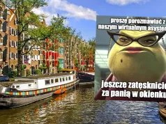 Holandia chce ciąć koszty budżetu przez zastąpienie 20% urzędników i wprowadzanie sztucznej inteligencji