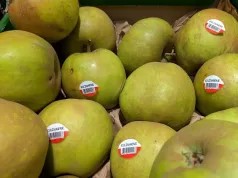 Boskoop coraz droższy. Przed świętami może dojść do ciekawej rozgrywki