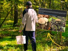 Listopad za pasem, a w lasach takie okazy. Leśnicy pokazali zdjęcia